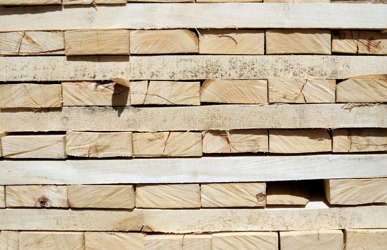 Linden Timber